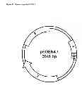 Fig. 09 - Compositions and Methods for the Delivery of Biologically Active RNAs