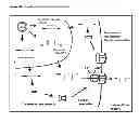 Fig. 35 - Compositions and Methods for the Delivery of Biologically Active RNAs
