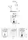 Fig. 04 - Sensing method for biopolymers and sensing device therefor