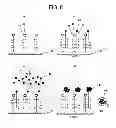 Fig. 05 - Sensing method for biopolymers and sensing device therefor