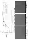 Fig. 04 - LASER ANNEALING APPLICATIONS IN HIGH-EFFICIENCY SOLAR CELLS
