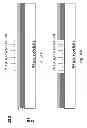 Fig. 47 - LASER ANNEALING APPLICATIONS IN HIGH-EFFICIENCY SOLAR CELLS