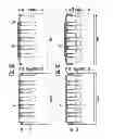 Fig. 09 - Method of manufacturing semiconductor device