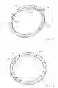 Fig. 03 - Retaining ring for chemical mechanical polishing