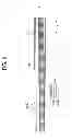 Fig. 07 - Blower pipe, blowing device, and image forming apparatus