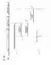 Fig. 06 - Method and apparatus for authorizing transfer of mobile devices