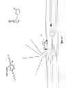 Fig. 02 - Method to modify calibration data used to locate a mobile unit
