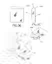 Fig. 04 - Playground safety surface