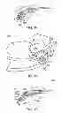 Fig. 08 - Golf club having removable weight
