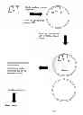Fig. 06 - Method for sequencing a polynucleotide template