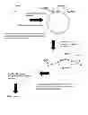 Fig. 08 - Method for sequencing a polynucleotide template