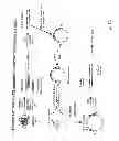 Fig. 12 - Method for sequencing a polynucleotide template