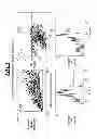 Fig. 08 - INTEGRATED ASSAY THAT COMBINES FLOW-CYTOMETRY AND MULTIPLEXED HPV GENOTYPE IDENTIFICATION