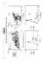 Fig. 09 - INTEGRATED ASSAY THAT COMBINES FLOW-CYTOMETRY AND MULTIPLEXED HPV GENOTYPE IDENTIFICATION