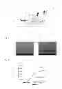 Fig. 02 - METHOD AND DEVICE FOR SYNTHESIZING PROTEIN FROM DNA MOLECULE CAPTURED IN MICROCHAMBER