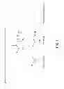 Fig. 02 - Lipids, lipid complexes and use thereof