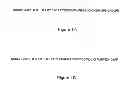 Fig. 02 - Method for treating wrinkles using a paralytic peptide from the shrew 