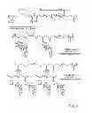Fig. 02 - Cyclodextrin-based polymers for therapeutics delivery