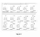 Fig. 02 - Tricyclic boron compounds for antimicrobial therapy