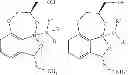 Fig. 06 - Tricyclic boron compounds for antimicrobial therapy