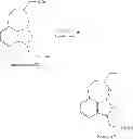 Fig. 33 - Tricyclic boron compounds for antimicrobial therapy
