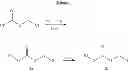 Fig. 04 - Prodrugs of (4aS, 13ar)-N-[(2,4-difluorophenyl)methyl]-10-hydroxy-9-11-dioxo-2,3,4a,5,9,11,13,13a-octahydro-1H-pyrido[1,2-a]pyrrolo[1′,2′:3:4]imidazo[1,2-d]pyrazine-8-carboxamide and their use in the treatment of HIV infection