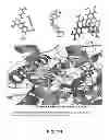 Fig. 07 - METHODS AND COMPOSITIONS FOR TREATING ACE2-RELATED DISORDERS