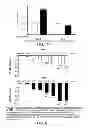 Fig. 08 - METHODS AND COMPOSITIONS FOR TREATING ACE2-RELATED DISORDERS