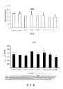 Fig. 09 - METHODS AND COMPOSITIONS FOR TREATING ACE2-RELATED DISORDERS