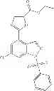 Fig. 08 - Polymorphs and salts