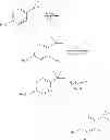 Fig. 167 - Modulators of ATP-binding cassette transporters