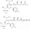 Fig. 02 - Methods of treating heart failure