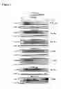 Fig. 06 - COMPOUNDS THAT INHIBIT TAU PHOSPHORYLATION