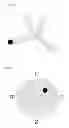 Fig. 07 - COMPOUNDS THAT INHIBIT TAU PHOSPHORYLATION