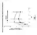 Fig. 02 - Capsule formulation of pirfenidone and pharmaceutically acceptable excipients
