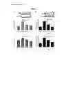 Fig. 19 - Thromboxane A2 (TP) receptor antagonists