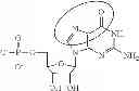 Fig. 89 - METHODS OF INCREASING THE VIABILITY OR LONGEVITY OF AN ORGAN OR ORGAN EXPLANT