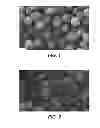 Fig. 02 - Process for preparing porous polymer particles