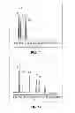 Fig. 07 - METHOD FOR SEPARATING WATER-SOLUBLE BIOLOGICAL SUBSTANCES