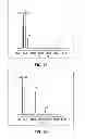 Fig. 12 - METHOD FOR SEPARATING WATER-SOLUBLE BIOLOGICAL SUBSTANCES