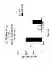 Fig. 05 - Endogenous and Non-Endogenous Versions of Human G Protein-Coupled Receptors