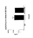Fig. 07 - Endogenous and Non-Endogenous Versions of Human G Protein-Coupled Receptors