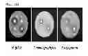 Fig. 12 - Cloning and base sequence determination of novel iturin biosynthesis gene from antagonistic microorganism and characteristics of the gene