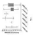 Fig. 03 - Acceptor framework for CDR grafting