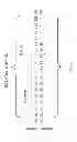 Fig. 02 - Acceptor framework for CDR grafting