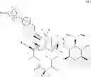 Fig. 04 - 6,11-BRIDGED BIARYL MACROLIDES