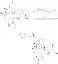 Fig. 280 - 6,11-BRIDGED BIARYL MACROLIDES