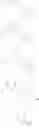 Fig. 70 - 6,11-BRIDGED BIARYL MACROLIDES