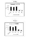 Fig. 03 - NOVEL HETEROCYCLIC COMPOUND, AND COMPOSITION FOR TREATING INFLAMMATORY DISEASES USING SAME