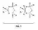 Fig. 02 - Efficient processes for large scale preparation of phosphaplatins antitumor agents
